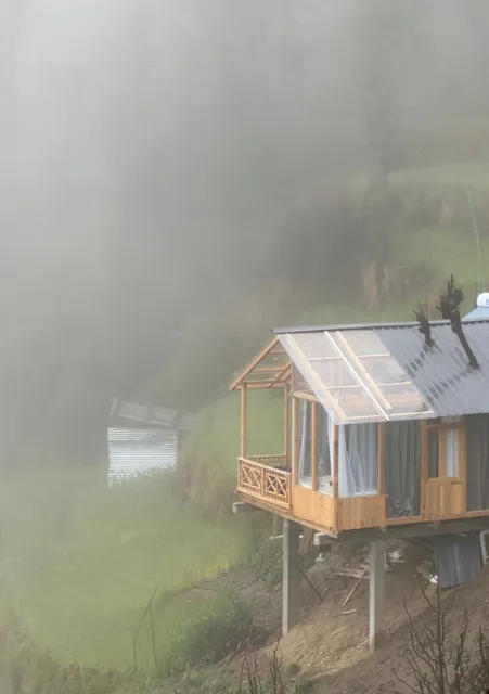 Cloud Walk Treehouse (Jibhi | Tandi)