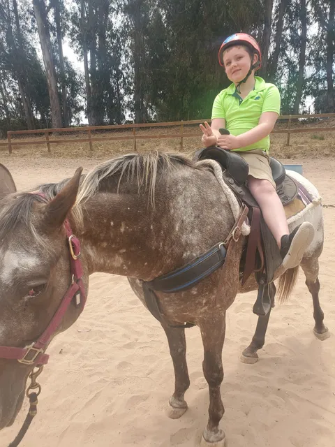 Rancho De Los Animales Inc