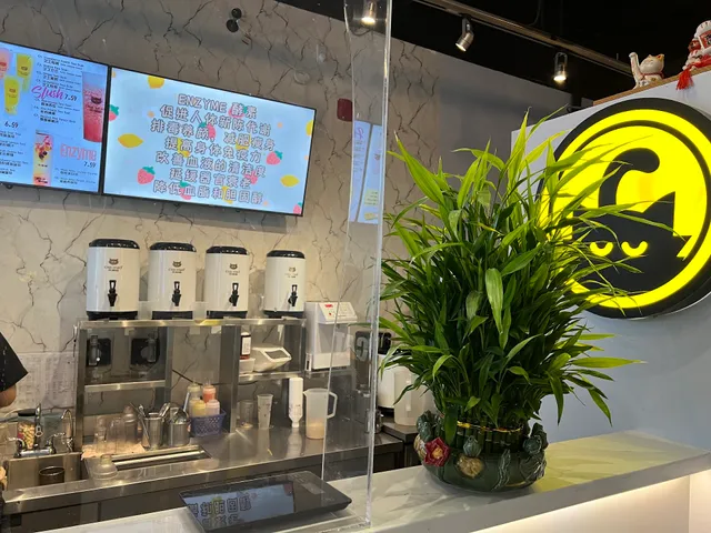 Cha Miao 茶喵喵-Markham