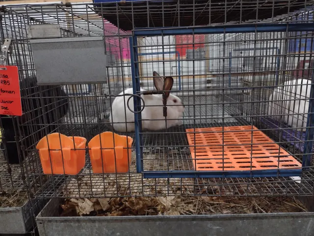 Marquette County Fairgrounds