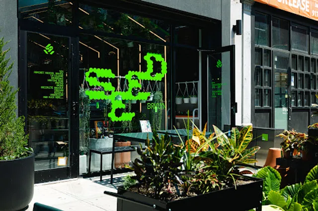 Greenhouse Café at Seed Brklyn