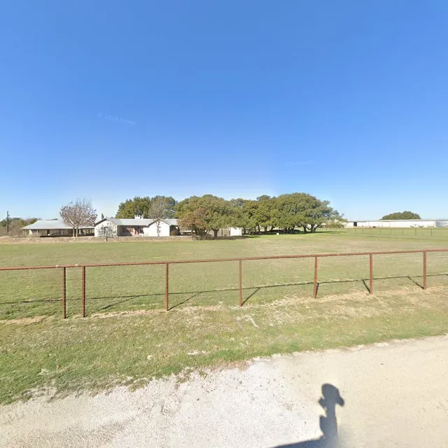 Rice Performance Horses