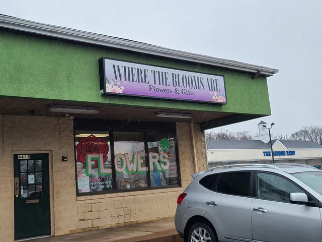 Where The Blooms Are