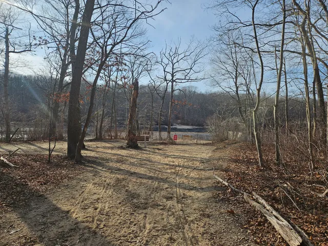 Blydenburgh Dog Park Area