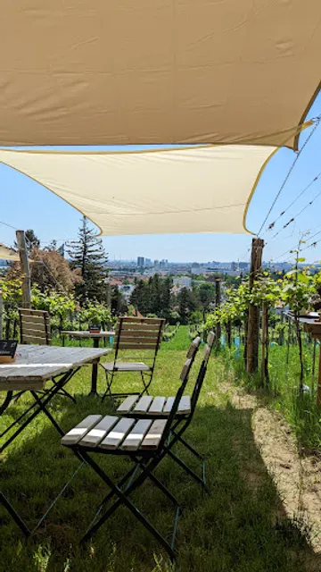 Weinbau Maria Grötzer