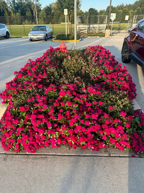 Laytonia Park Playground