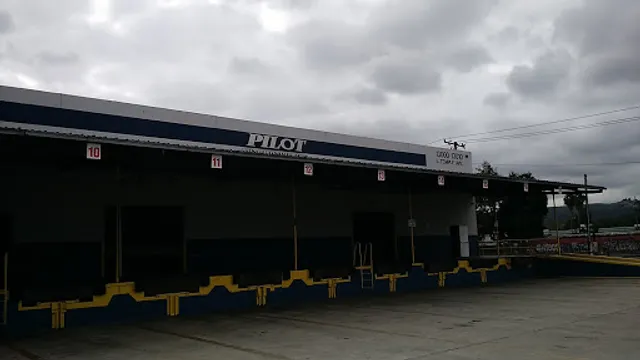 Pilot Automotive Inc