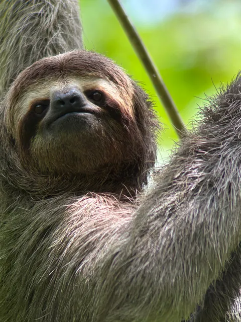Manuel Antonio Park Info Center