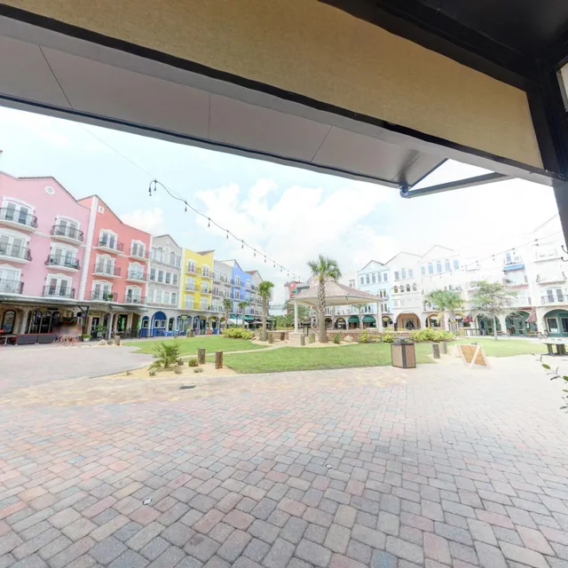 Blooming Flowers & Gifts