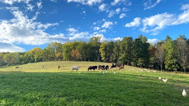 Crystal Valley Creamery