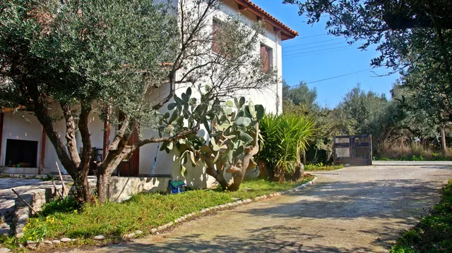 Vila Ladas for Rent-Villa Ladas