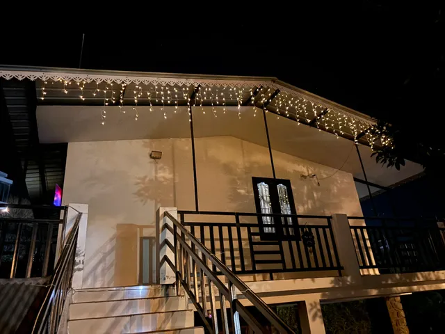 Blooming Nights with Begonia Home stays