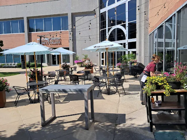 Dotty's Kitchen & Raw Bar