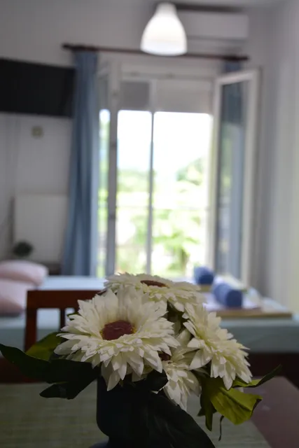 Nakis Apartment Central