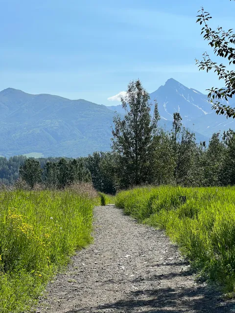 Matanuska River Trail