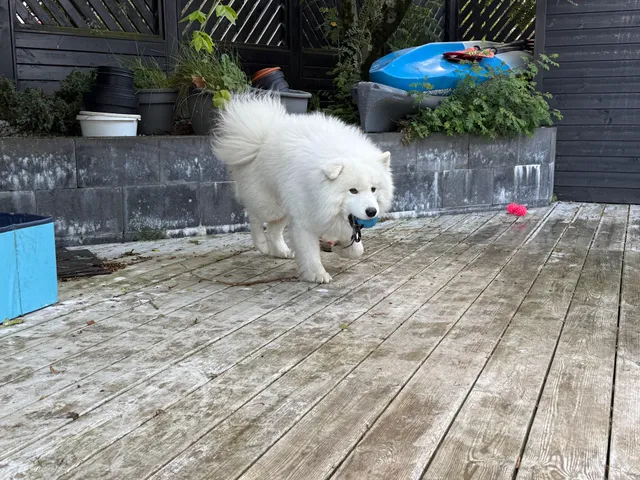 Smart Luxury - Private Gym, Hot Tub & Sauna