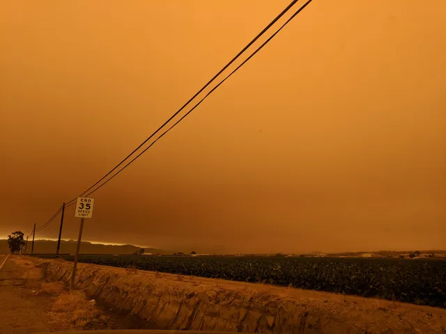 California Giant Berry Farms