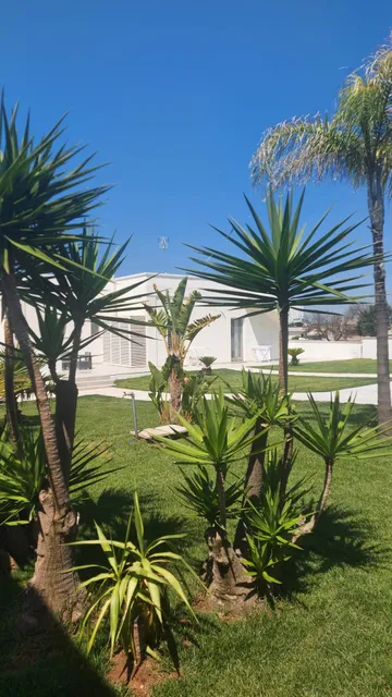 B&B Porto Cesareo Terra e Mare - Casa Vacanze - Affittacamere