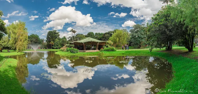 Lago Jardín Botánico