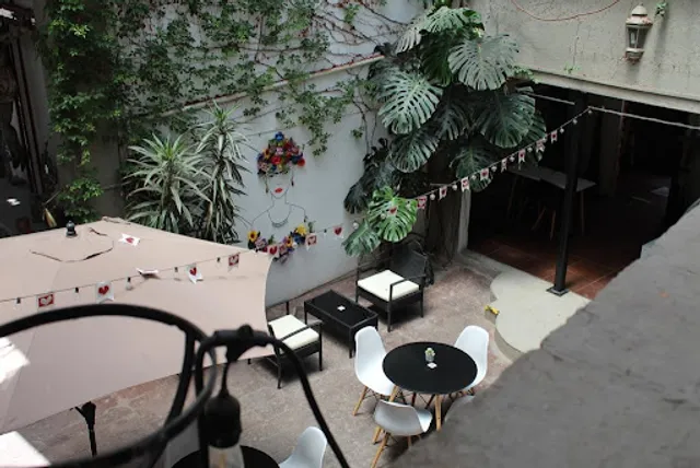 Bohemio Café Galería