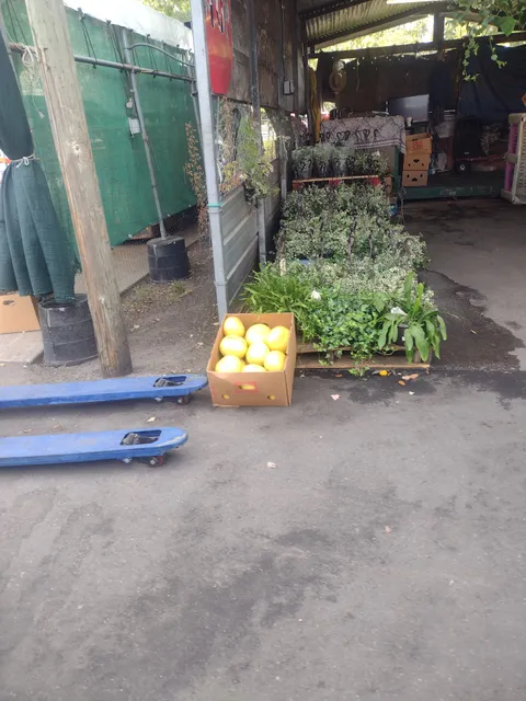 JVL Produce Plant City