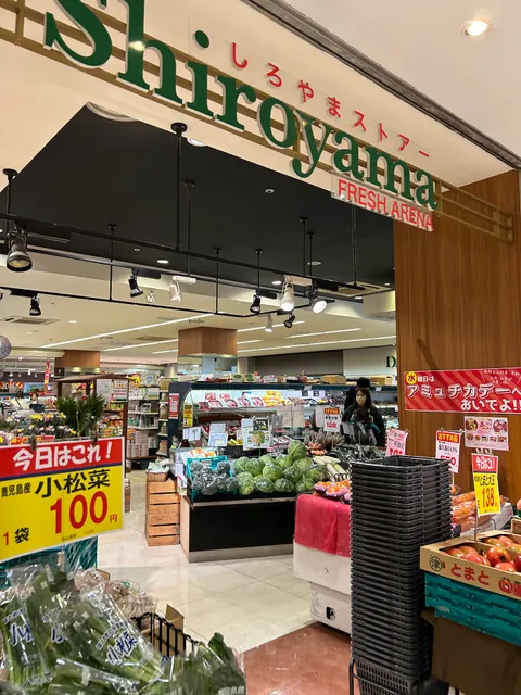 Shiroyama Store AMU Plaza