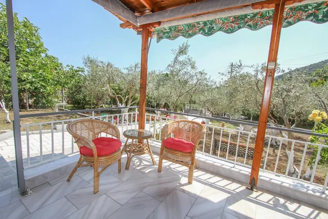 The House of Olive Trees