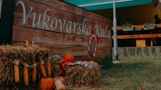 Vukovarska kuća - Park adica Vukovar