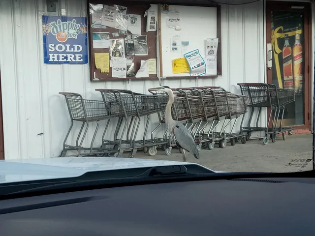 Ship & Shore Supplies Inc