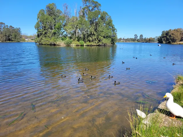 Harrington Park Lake