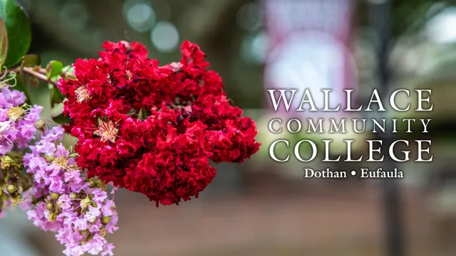 Wallace Community College