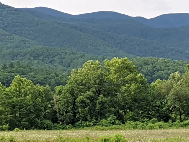 wet bottom trailhead
