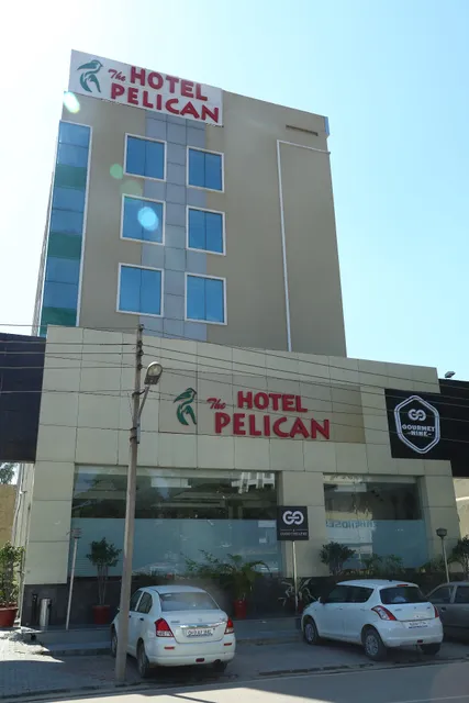 The Pelican