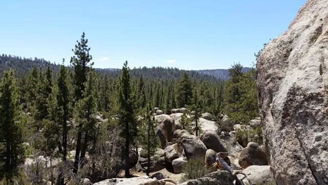 Holcomb Valley Pinnacles