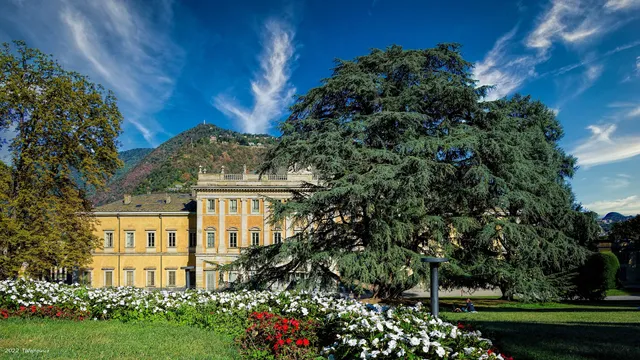 Villa Olmo