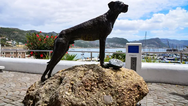 Able Seaman Just Nuisance