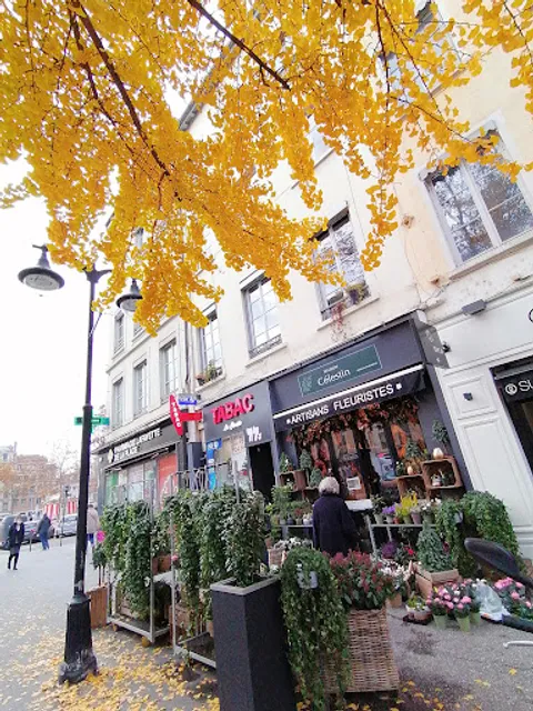 Sushi Shop Lyon Croix Rousse