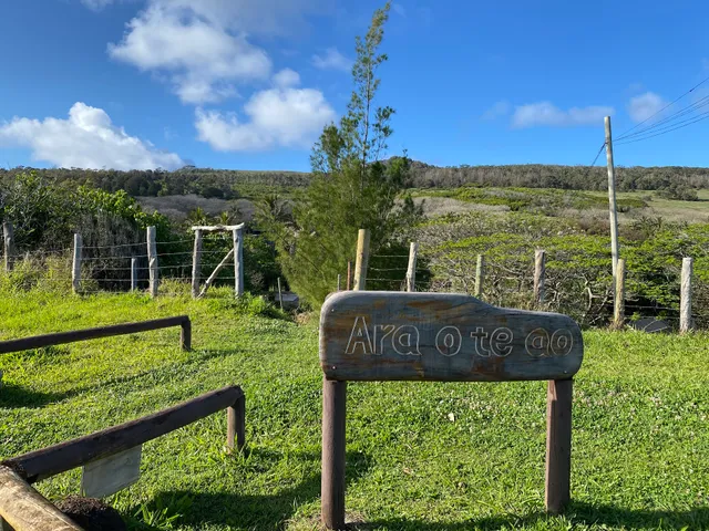 Sendero Te Ara O Te Ao