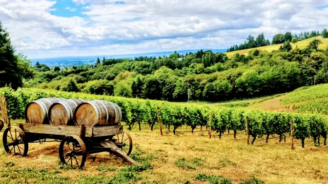 Willamette Valley Tour