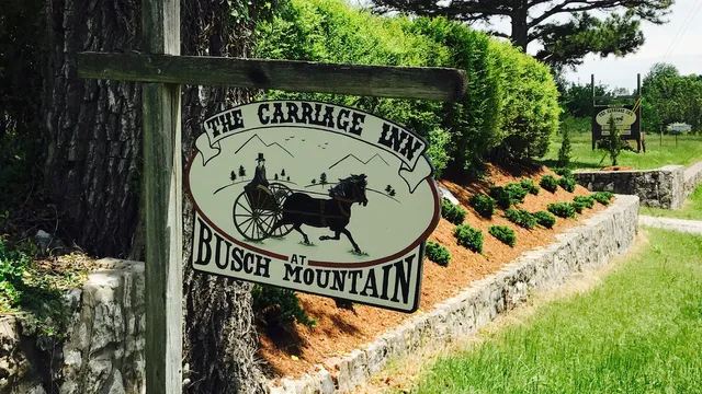 Hilltop on Busch mountain