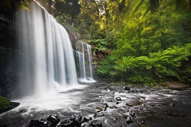 Tyenna River Cottage