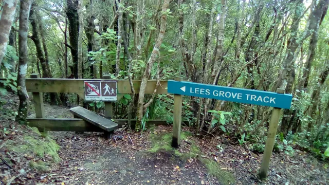 Lees Grove Track