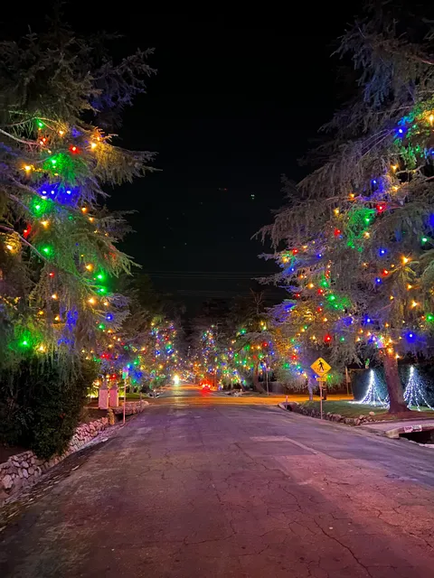 CHRISTMAS TREE LANE ENTRANCE