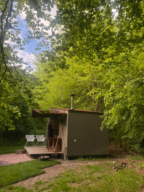 The forest is calling!