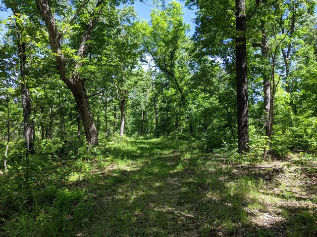 Little Indian Creek Conservation Area