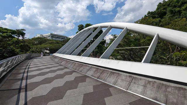 Alexandra Arch Overhead Bridge