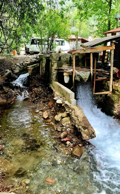 Yeşil Vadi Yanıklar