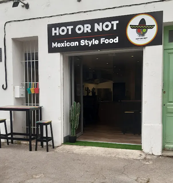 Hot or Not Mexican Style Food