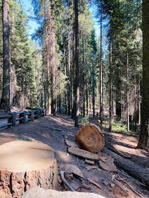 Amphitheater Point Viewpoint