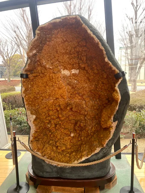 アンブローズアンドカンパニー㈱ 本社